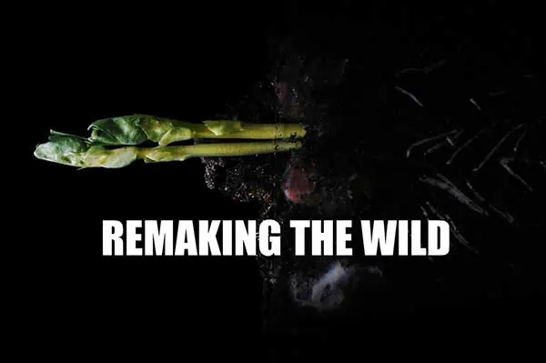Remaking the wild