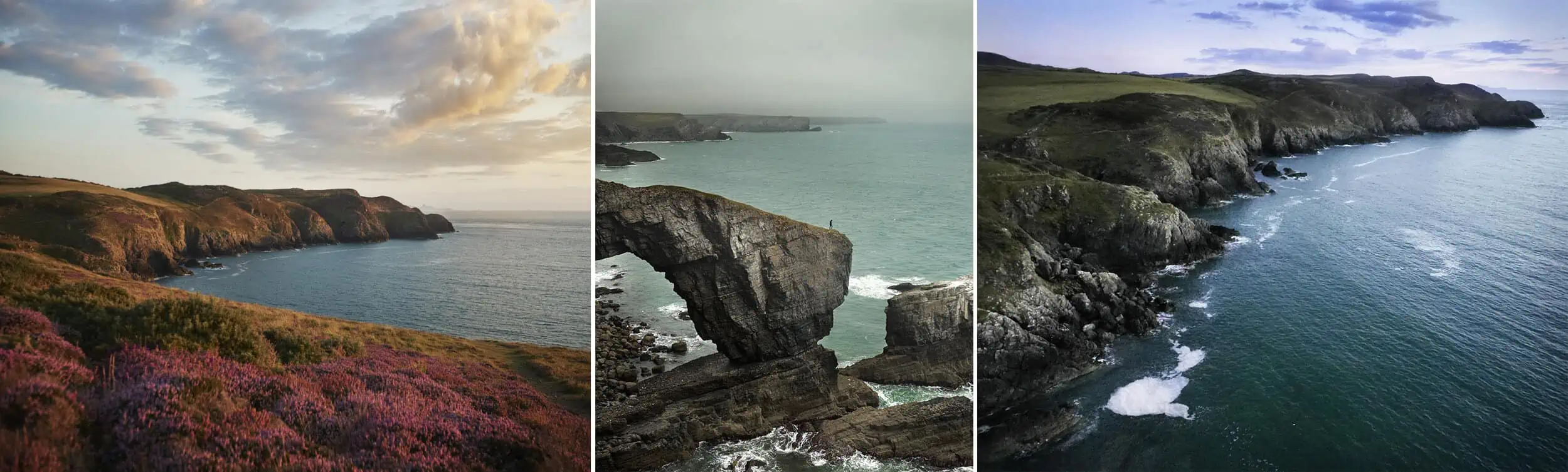 ID: From left to right 1: A landscape image. In the foreground of this coastal scene, the land is dressed with a golden light. There is purple heather in the foreground and the sea is a dark blue. 2: A portrait image. This dark overcast day shows a dramatic rock structure going into the sea with a small figure on the end of the cliff. There are lots of browns, greys and light turquoise in the image. 3: A landscape image. To the left of the image is pictured a rocky steep cliff, with white rocks and grassy green tops. The waves are crashing against the rocks and cliffs. The sky is dark blue and purple - the sun is setting with a wine dark sea.
