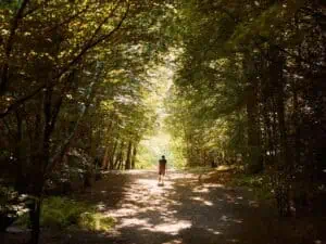 Epping Forest Walks: Seven of the best day hikes near London + trail maps - Epping Forest Walks