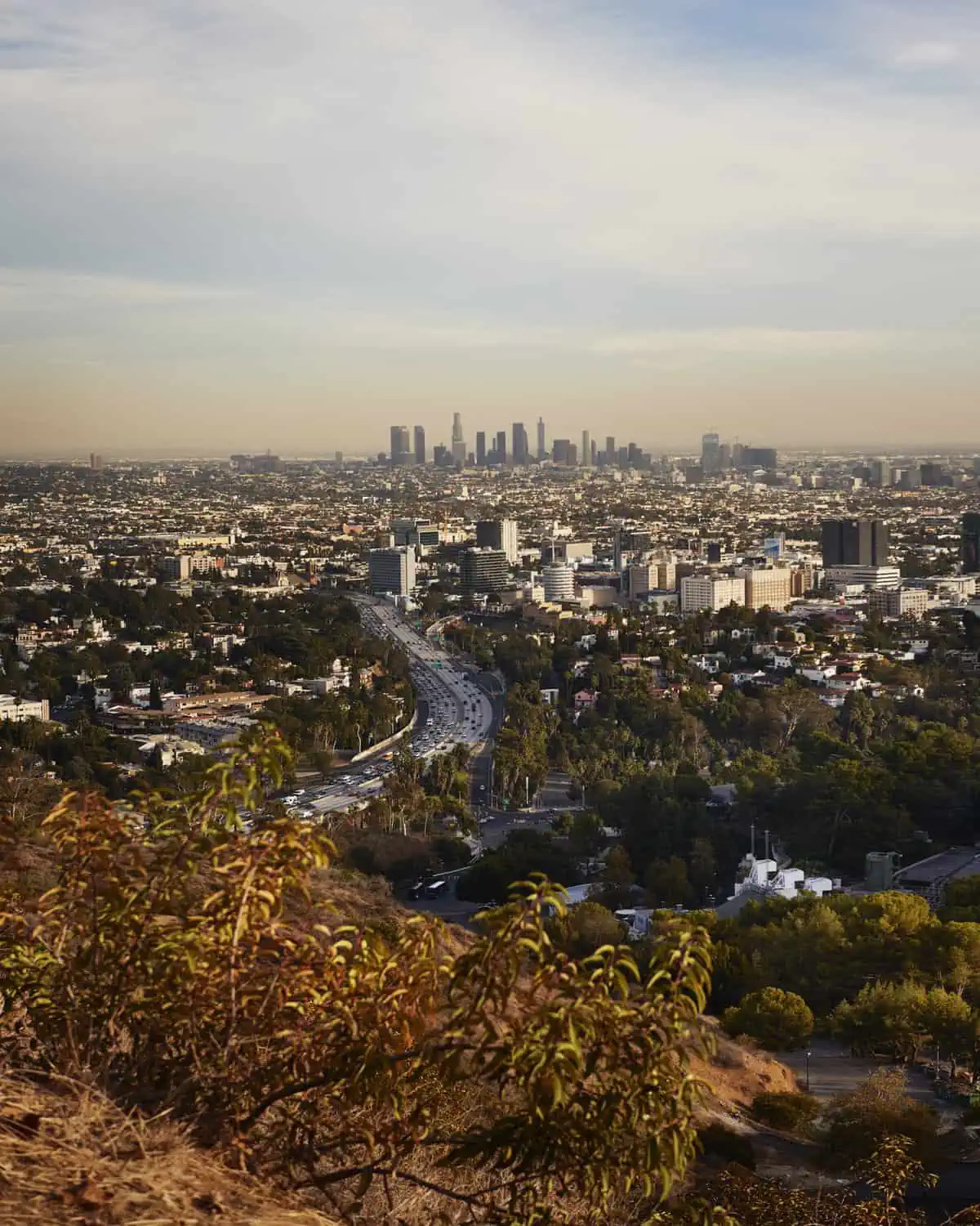 Our daily hike in North Hollywood took us to this view.