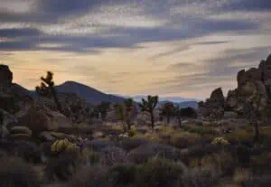 Exploring the Desert Around Joshua Tree National Park – our ultimate guide - Fm Dsc F Rgb
