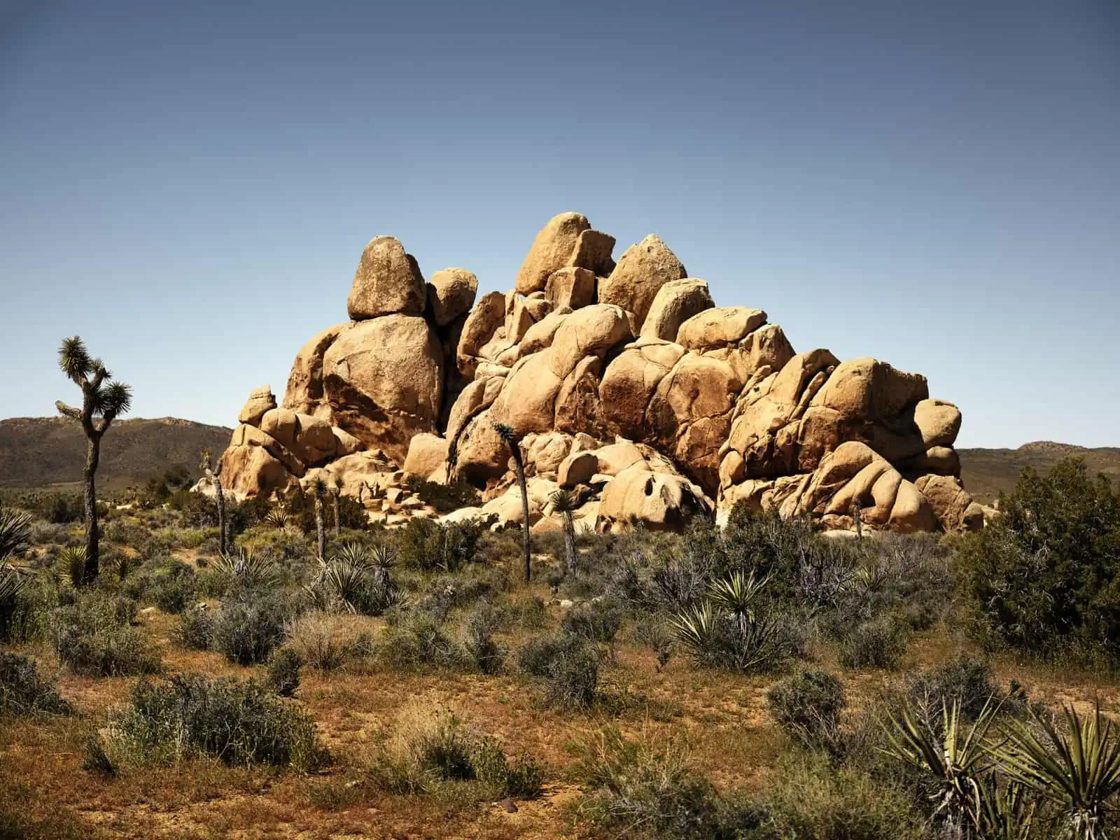 Exploring the Desert Around Joshua Tree National Park – our ultimate guide 