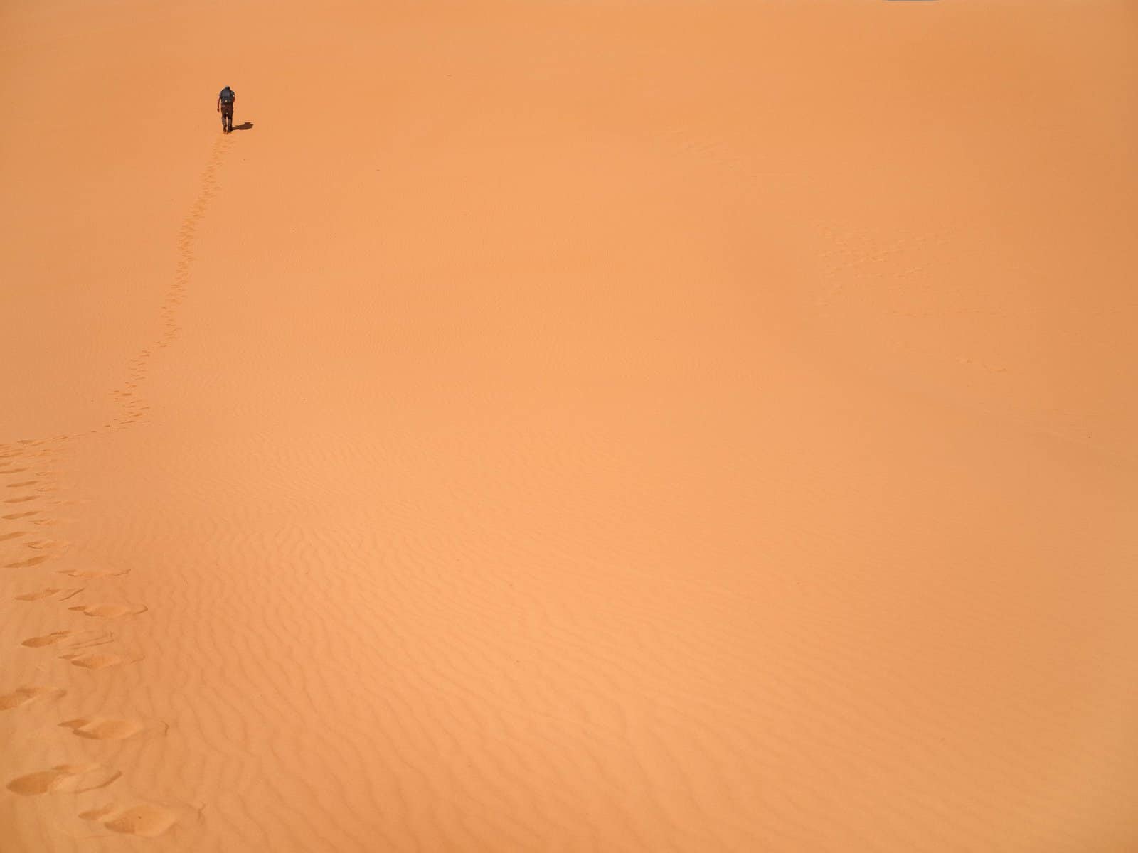 Orange desert very minimal. Person very small in frame walking to top of frame.