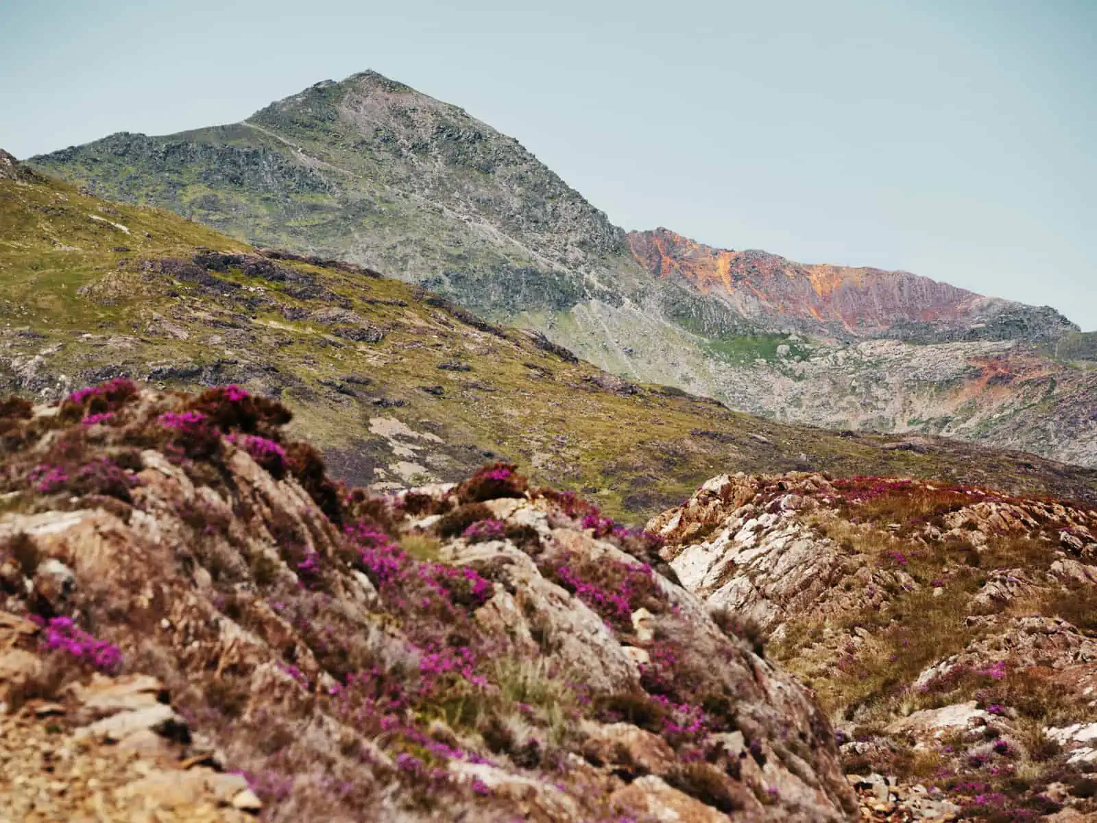 ID: A landscape image. The scene is bright and it is summer. The foreground contains rocky outcrops with pink mountain flowers. In the mid ground is a layer of green mountain slope. In the background are taller mountains - with summer colours of greens, and grey and mineral colours of red being brought out of the rock. The sky is fully blue, with not a cloud in sight - but is very pale.