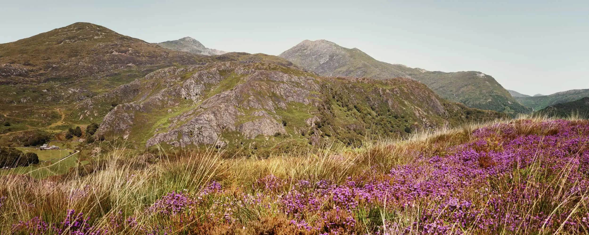 ID: A landscape panorama image. The scene is bright and it is summer. The foreground contains rocky outcrops with pink mountain flowers. In the mid ground is a layer of green mountain slope. In the background are taller mountains - with summer colours of greens, and grey and mineral colours of red being brought out of the rock. The sky is fully blue, with not a cloud in sight - but is very pale.