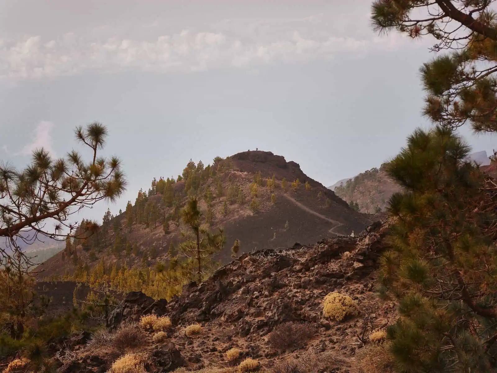 Hiking in Tenerife: Five incredible routes to try in Teide National Park - Fm Dsc F Rgb