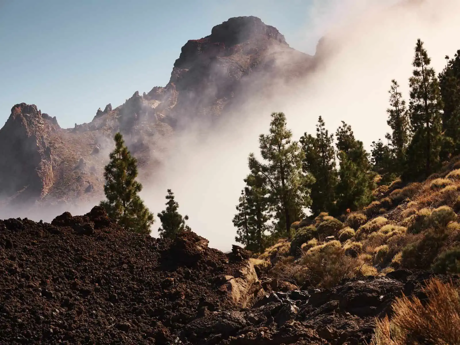 Tenerife: Discover Something Different in the Canary Islands - Fm Dsc F