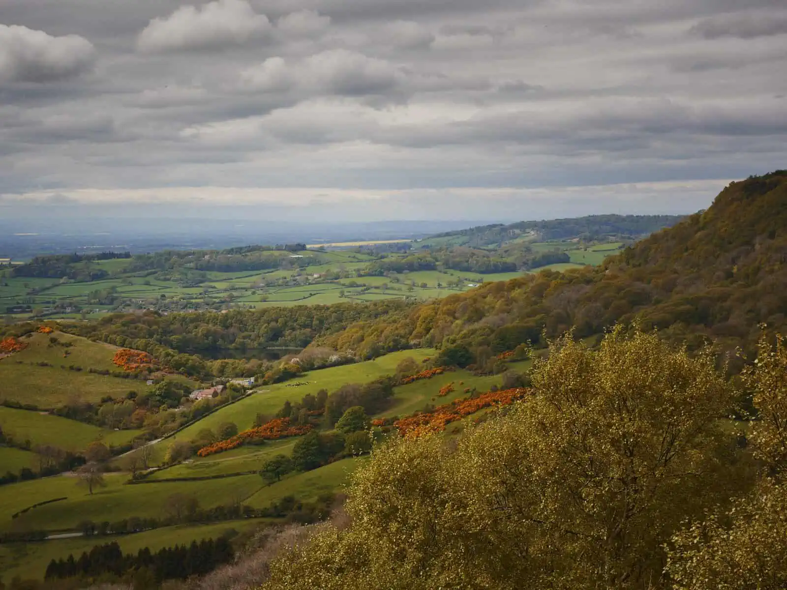Wellbeing, Wandering and Slowing Down: Connecting to nature in the North York Moors National Park - Fm Dsc F