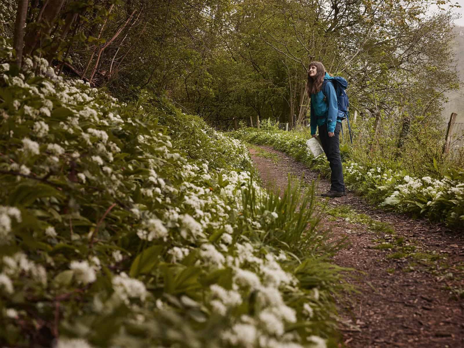 Wellbeing, Wandering and Slowing Down: Connecting to nature in the North York Moors National Park - Fm Dsc F