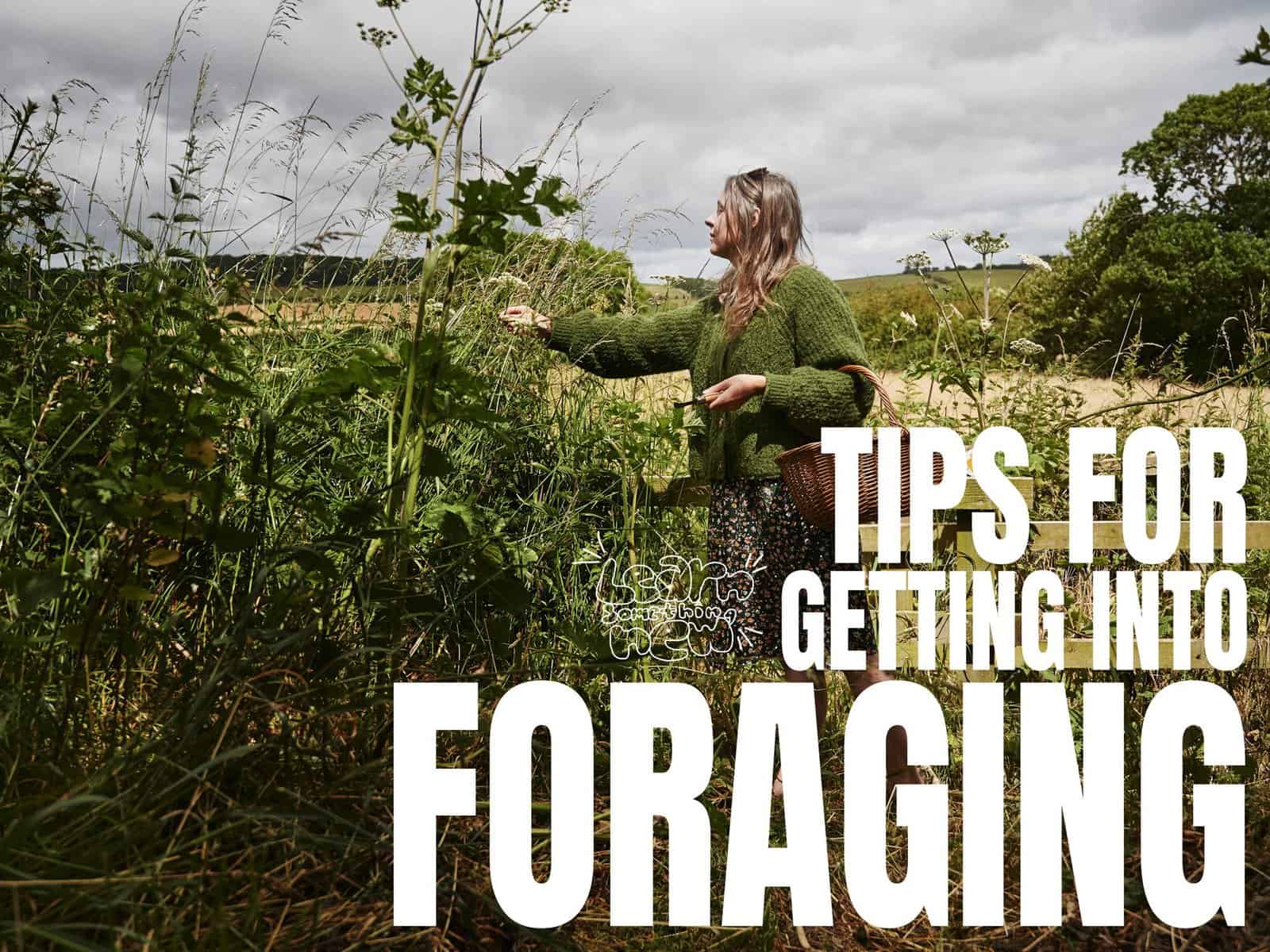 tea:tv - Foraging Tips for Beginners with Wild Roots Foraging