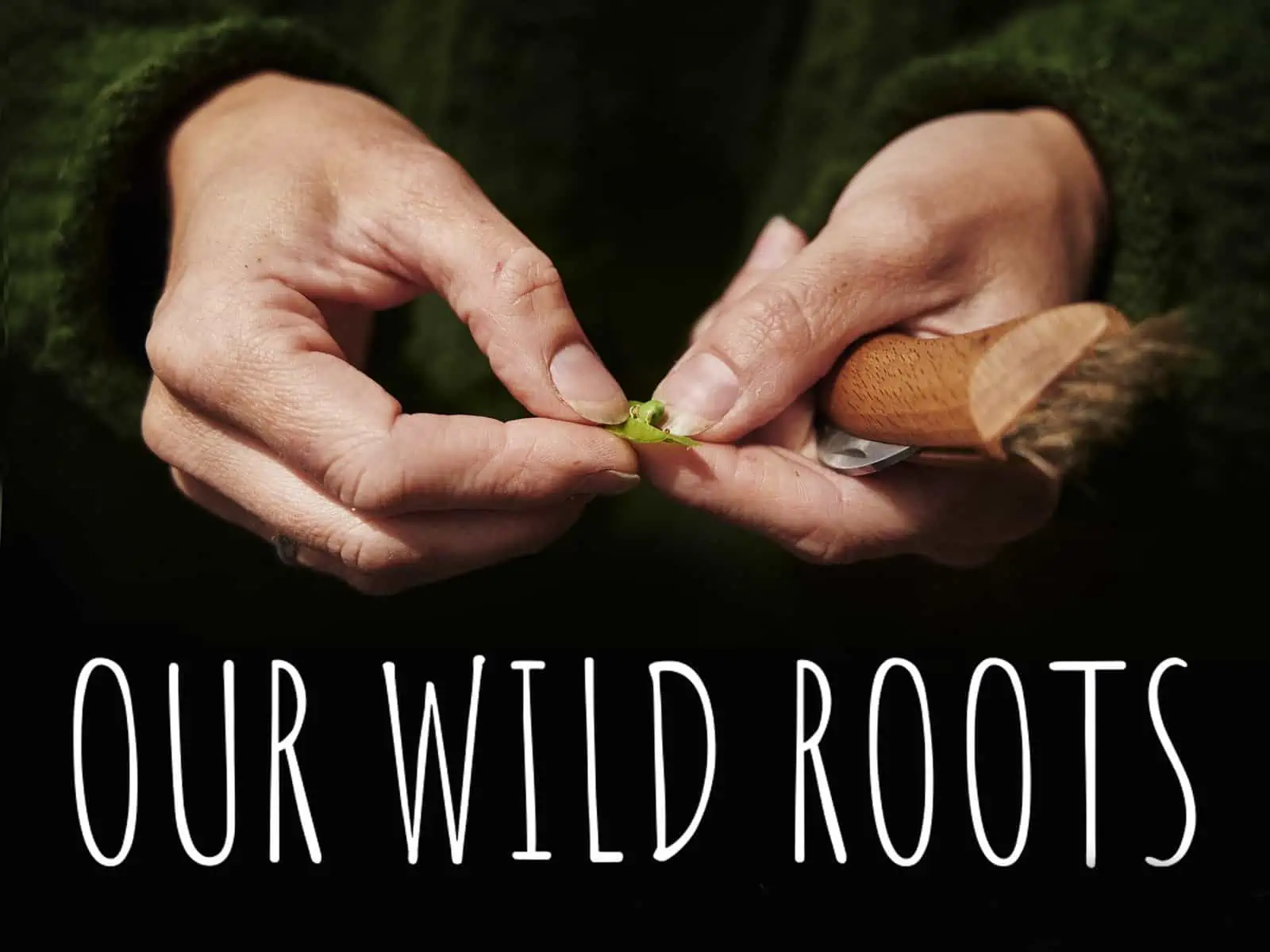 tea:tv Streaming - Our Wild Roots