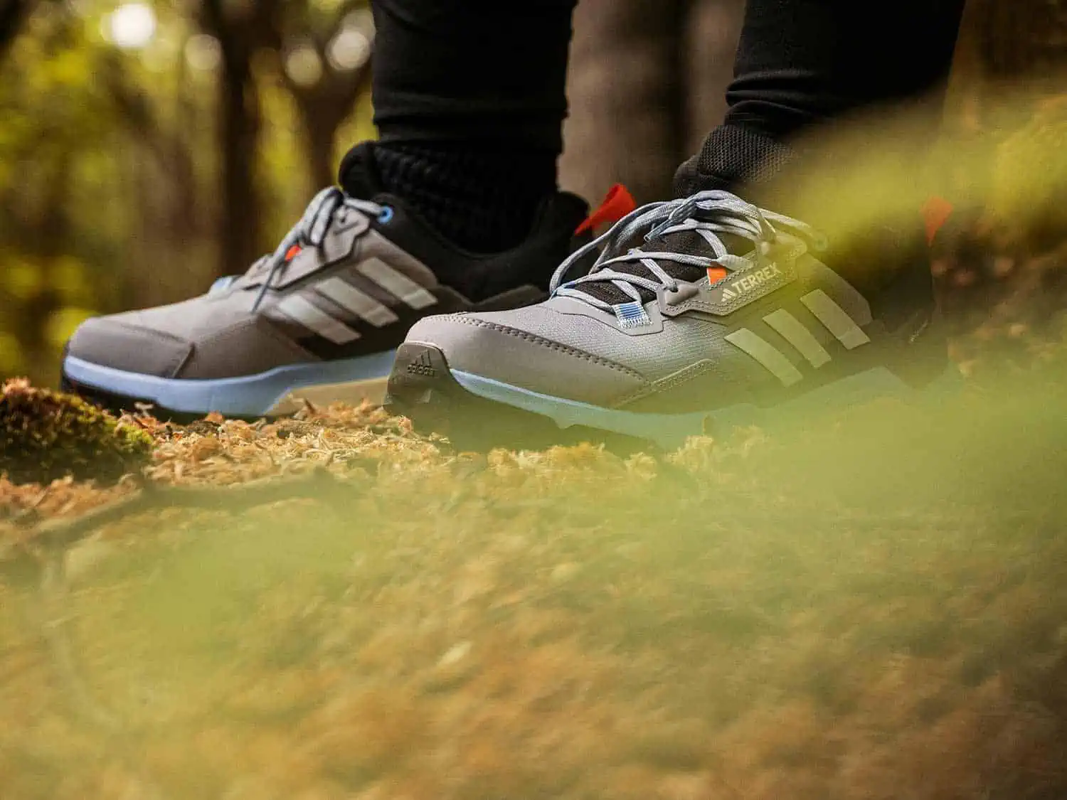 adidas terrex AX4 Gore Tex hiking shoe in a woodland setting