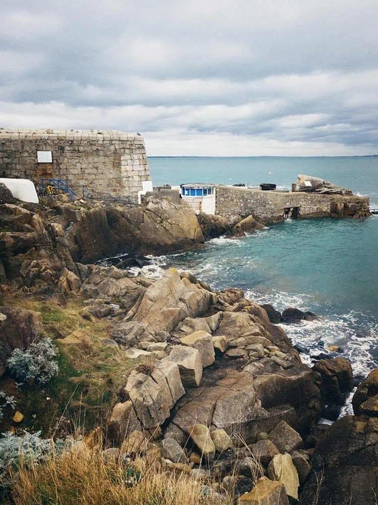 forty foot dublin swimming