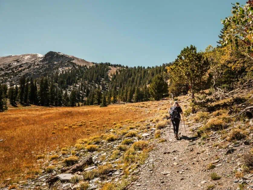 hiking trails in Great Basin National Park
