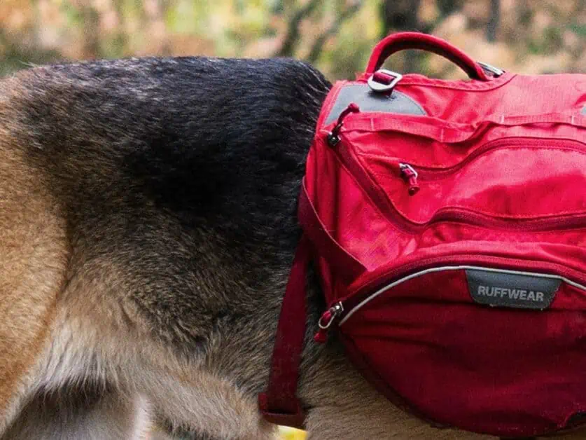 dog backpack for dog accessories hiking