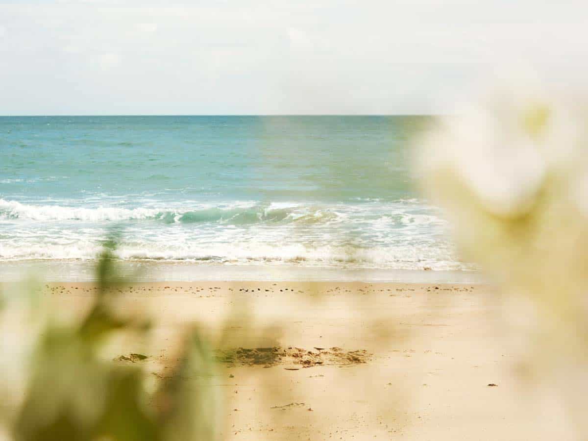 6 Best Natural Beaches Near Colchester, Essex to Swim