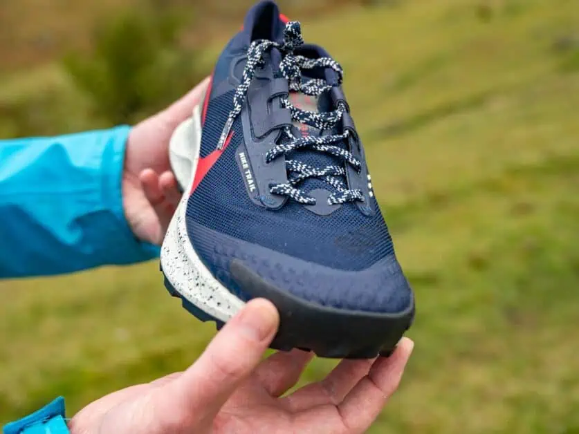 Nike pegasus 3 hiking shoe