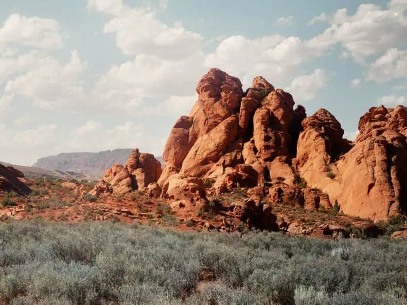 Red Cliffs National Conservation Area near Las Vegas